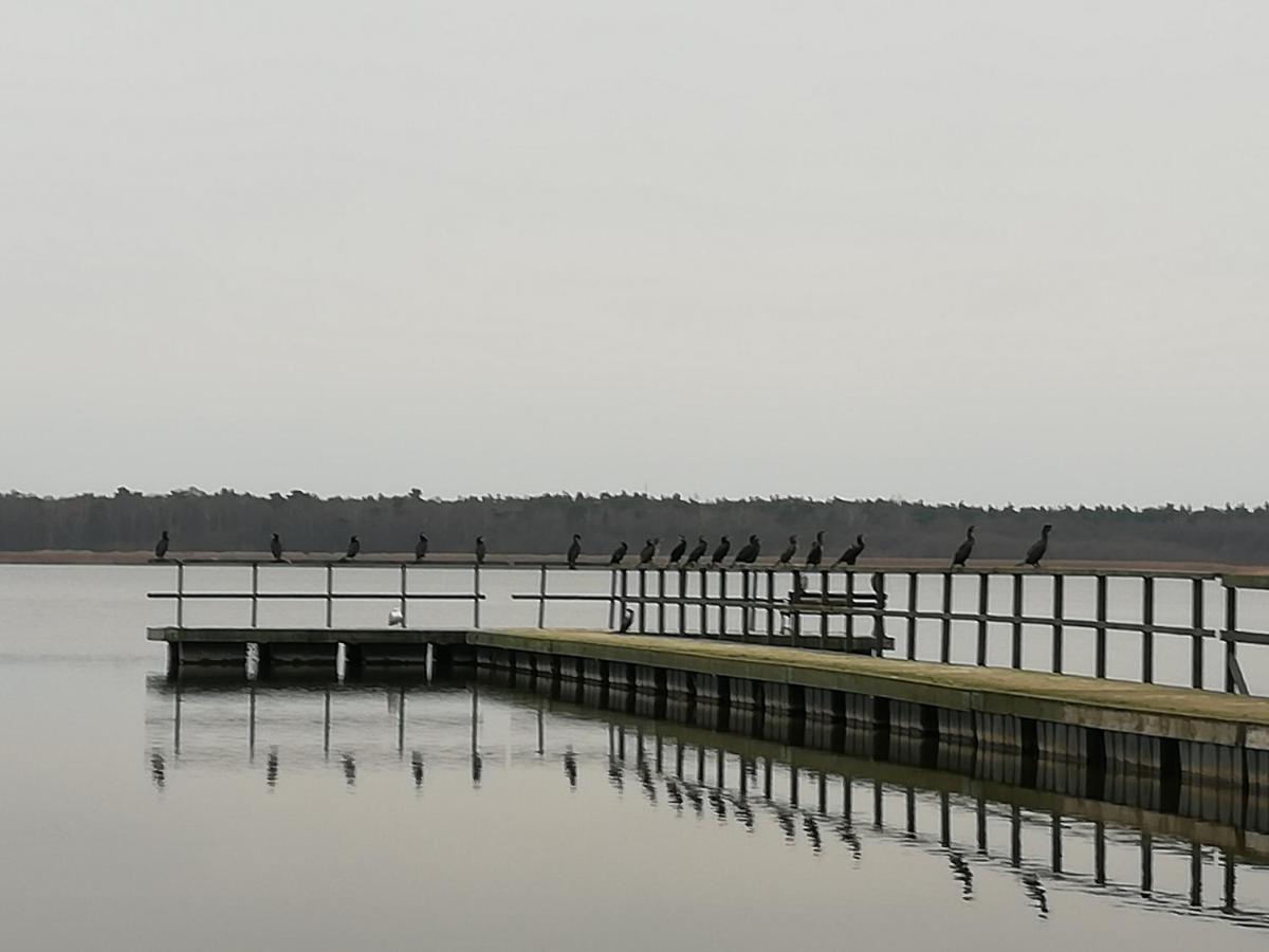 Letniskowe Hamer Holiday home *